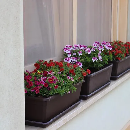 بيت ضيافة Casa Chiarenza 2*